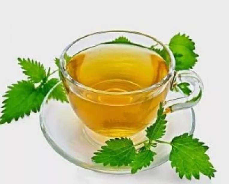 Beneficii pentru organism ale ceaiului de urzica
