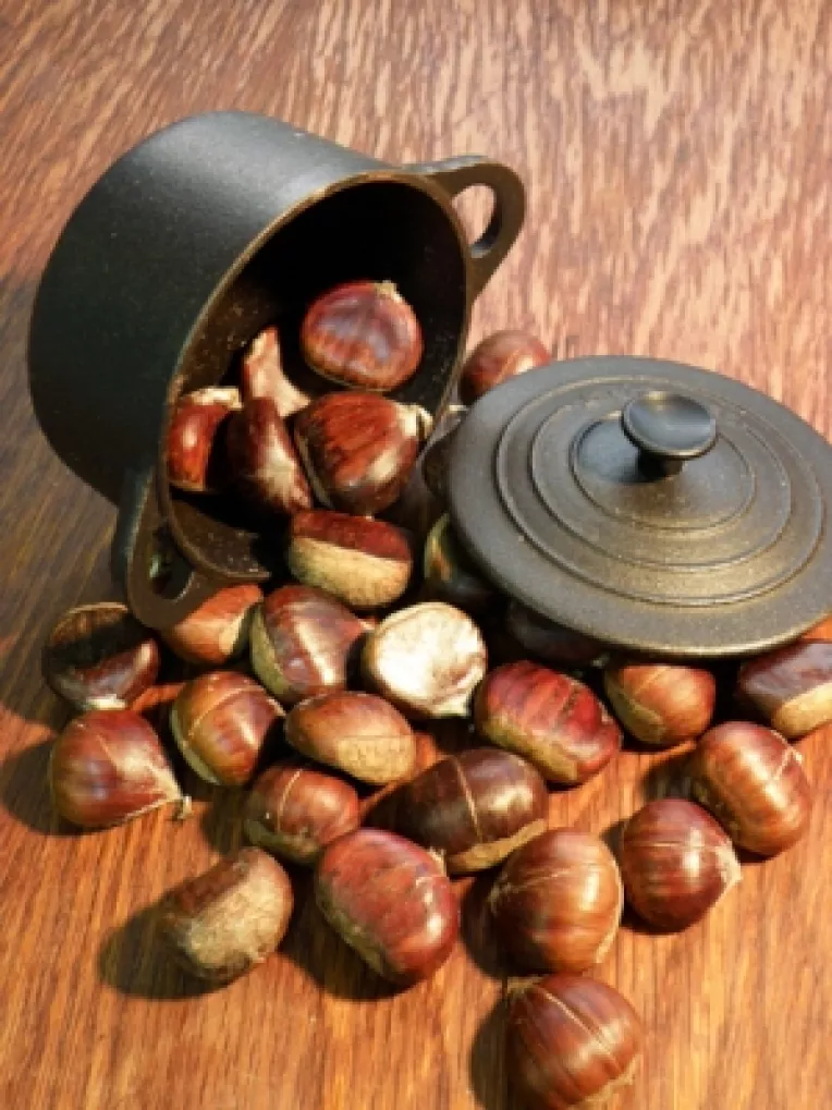 Castanele reduc colesterolul si regleaza tranzitul intestinal