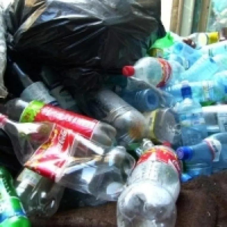 Fara contestatari. Iorgus: "Iorga este membru PD-L, mai trebuie sa ii dam carnetul"