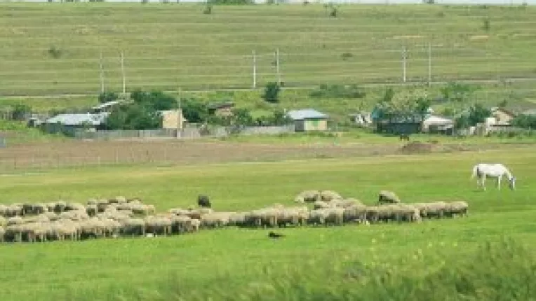 Fermele de semisubzistenta ies la rampa