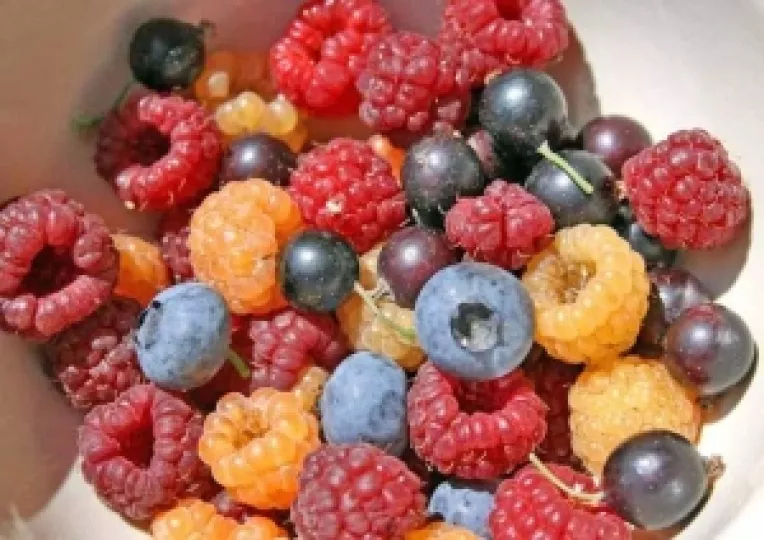 Fructele de padure, exportate pe bani grei in occident