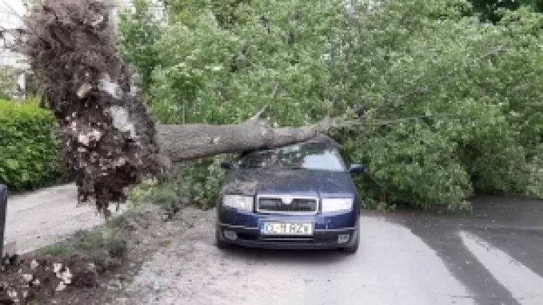 Masini avariate din cauza unei furtuni care s-a abatut peste orasul Calarasi
