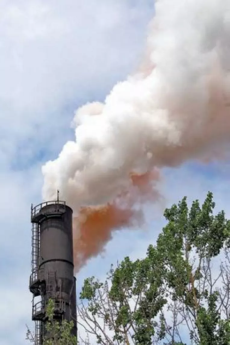 Mittal Steel a dat socoteala