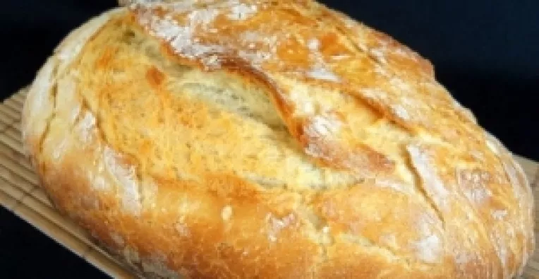 Painea, un aliment controversat