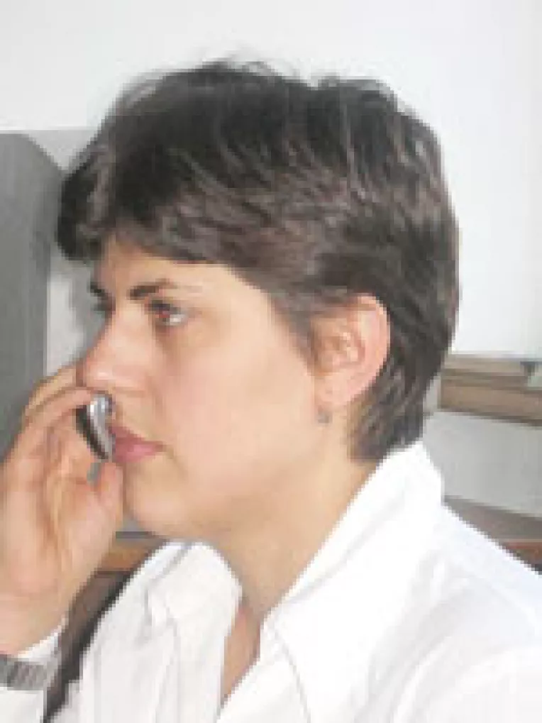 Parchtul ii scoate pe ministrii cercetati de sub aripa legislativului