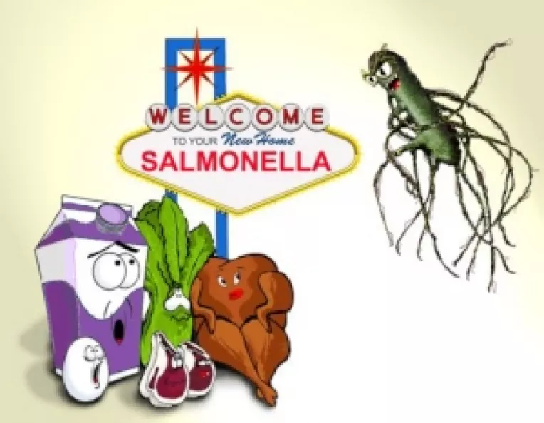 Primavara vine cu salmoneloza!