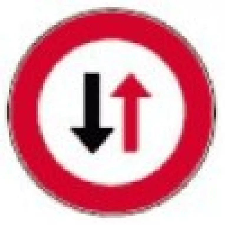 Prioritatile Guvernului Boc sunt total opuse prioritatilor reale ale poporului roman