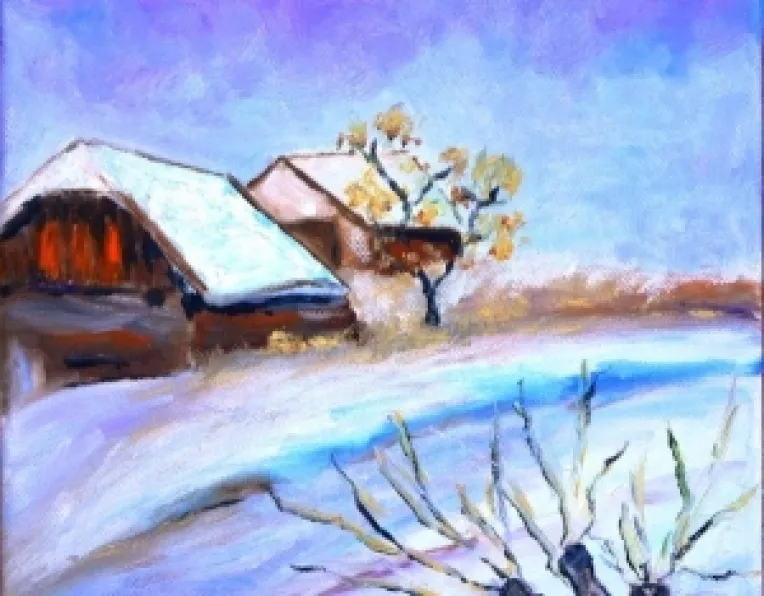 Prognoza meteo Romania: Ninsori, polei si vant in in perioada 3-5 Ianuarie 2014