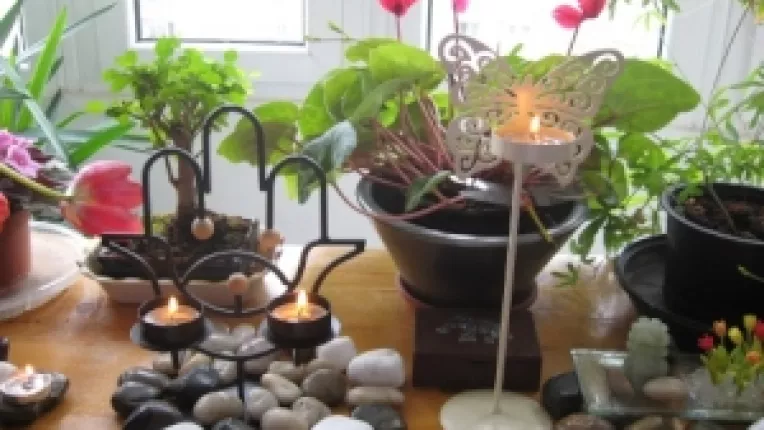 Remediile homeopate au origine vegetala, minerala si animala in formele lor naturale 