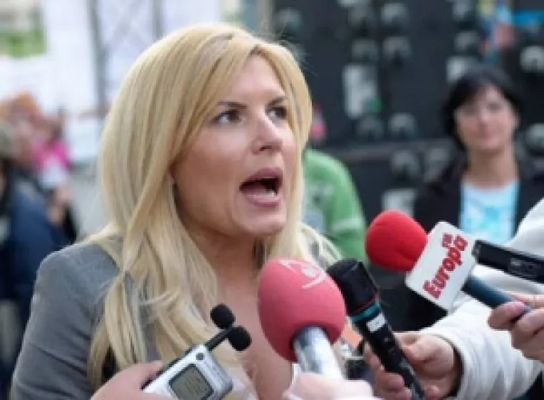 Udrea: PD ar putea absoarbe PLD, dupa euroalegeri